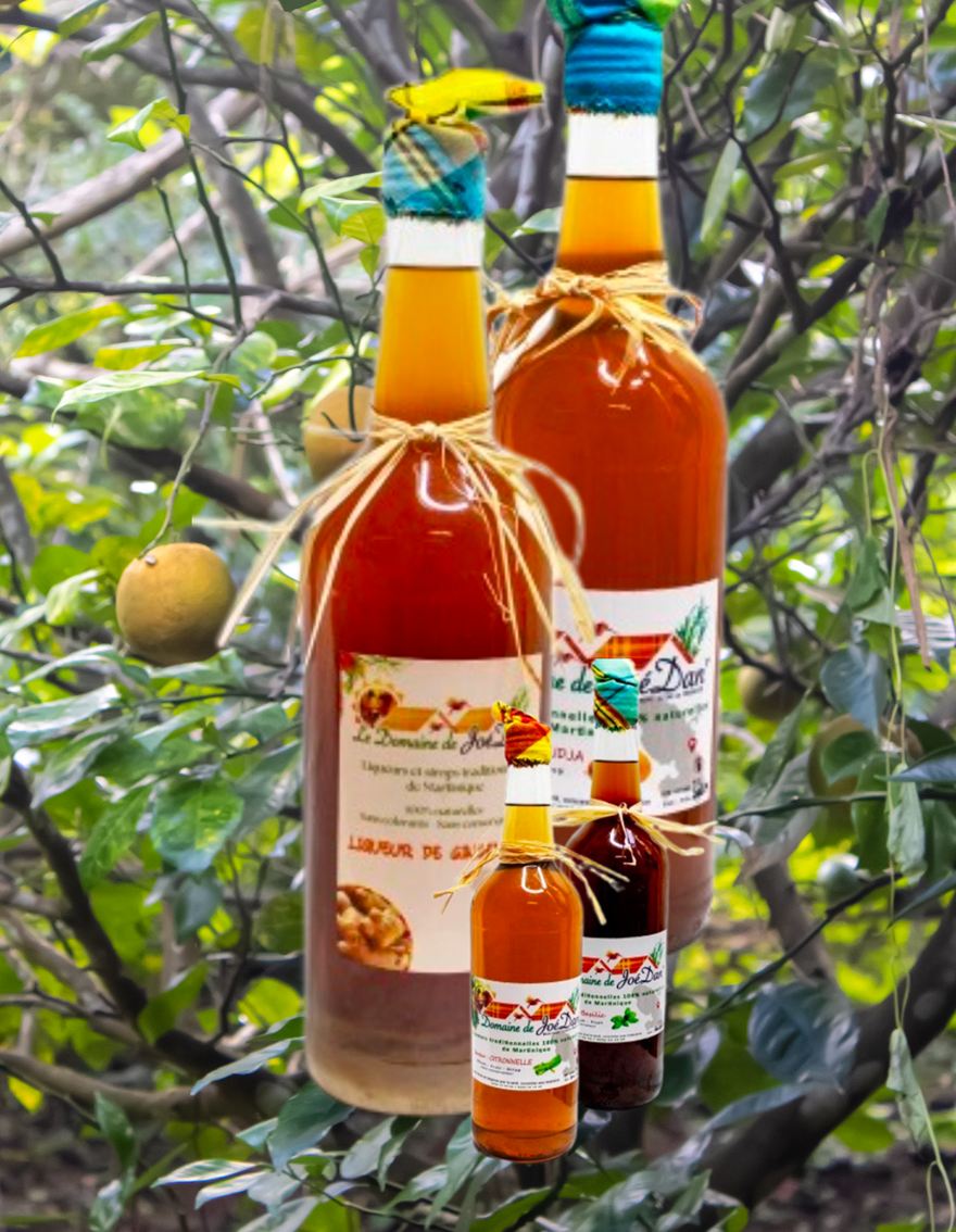 Bouteilles de liqueur du Domaine de Jo&eacute;Dan suspendues dans un oranger du verger