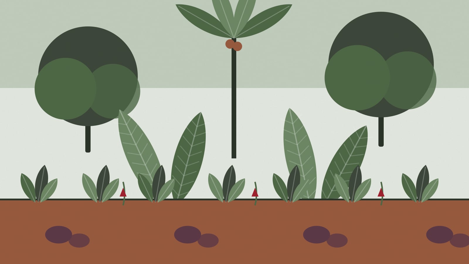 Illustration : Le jardin créole : l'héritage vivant des cases martiniquaises